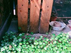 -随柳居·苏式小吃(建新巷店)