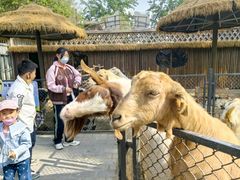 -保定市动物园