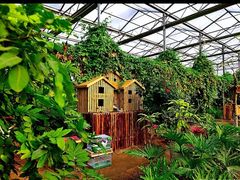 -呀路古热带植物园