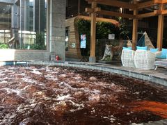 -弘安丽水温泉酒店