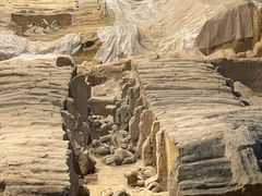 -秦始皇帝陵博物院(兵马俑)