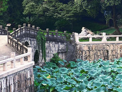 -水绘园