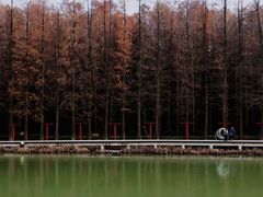 -青山湖景区