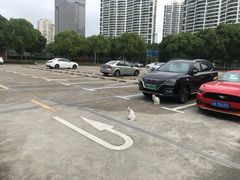 场地-源深体育中心-停车场