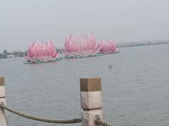 -溱湖国家湿地公园