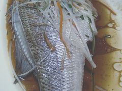 -刘胖子家常菜·蹄花焖藕(兴业店)