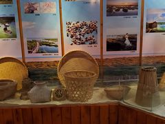 -北海金海湾红树林生态旅游区