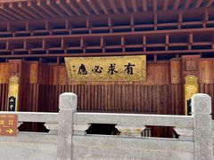 -深圳仙湖植物园
