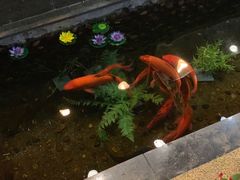 -勝記酒家·37年老字号·经典粤菜(荔枝公园店)