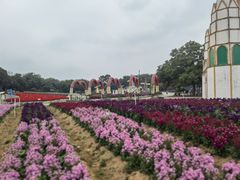 -松山湖梦幻百花洲