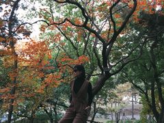 -长辛店二七公园