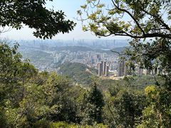 -梧桐山风景名胜区