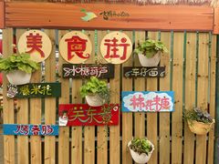 -麻涌飞鸭开心农场