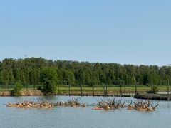 -溱湖国家湿地公园