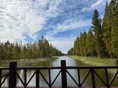 -黄海国家森林公园