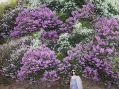 -九月鹰飞汉服摄影工作室