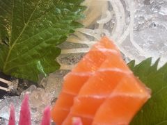 -黑松白鹿(金融街店)