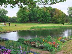 -上海共青森林公园