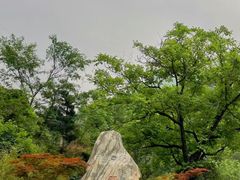 -秦岭终南山世界地质公园翠华山景区