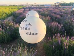 -西域欢乐城