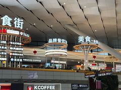 -郑州新郑国际机场-T2航站楼