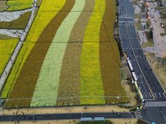 -中国天府农业博览园