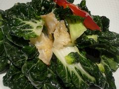 奶白菜炝北极贝-连鹭海鲜·海肠捞饭·海胆饭(星海店)