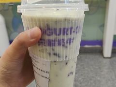 -一只酸奶牛(洪崖洞11楼店)