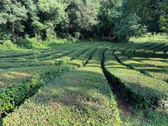 -敬亭山风景名胜区