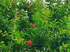 -中国昆曲博物馆