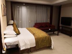 -泓瑞金陵大酒店·宴会厅