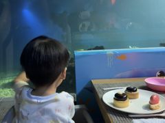 -海棠湾洲际-涛·海底餐厅·美人鱼·自助餐·海底隧道