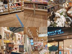 -猫的天空之城概念书店(大学路店)