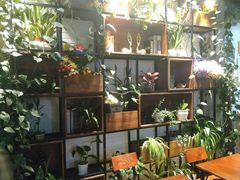 -杨小贤(五店市店)