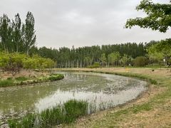 -东郊湿地公园