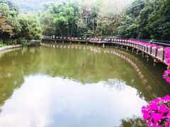 -月亮湾公园