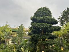 -茅草房·河畔园林火锅