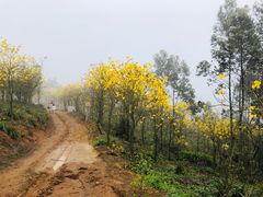 -锄山村