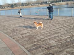 -永定河休闲森林公园