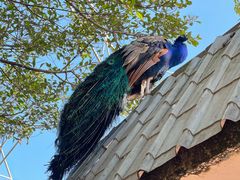 -惠食佳(东风大公馆店)