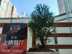 -御仙都北京菜馆·烤鸭店(双井店)