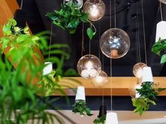 -柴务处·柴犬主题狗咖