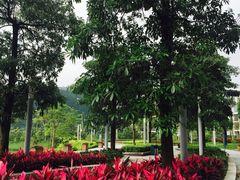 -中国移动南方基地