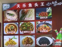 -天乐农家鱼头王(天目湖店)