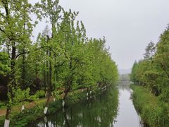 -洋湖国家湿地公园
