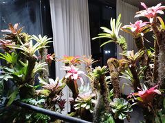 -扶摇湘宴·烤鸭·湘粤宴(中关村·北大店)