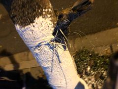 -华南师范大学(广州大学城校区)