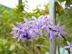 -观澜湖生态运动公社