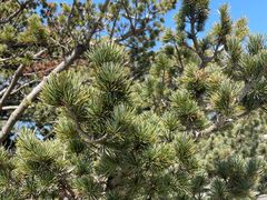 -重元寺香积厨素斋馆