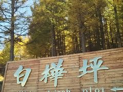 -塞罕坝国家级自然保护区